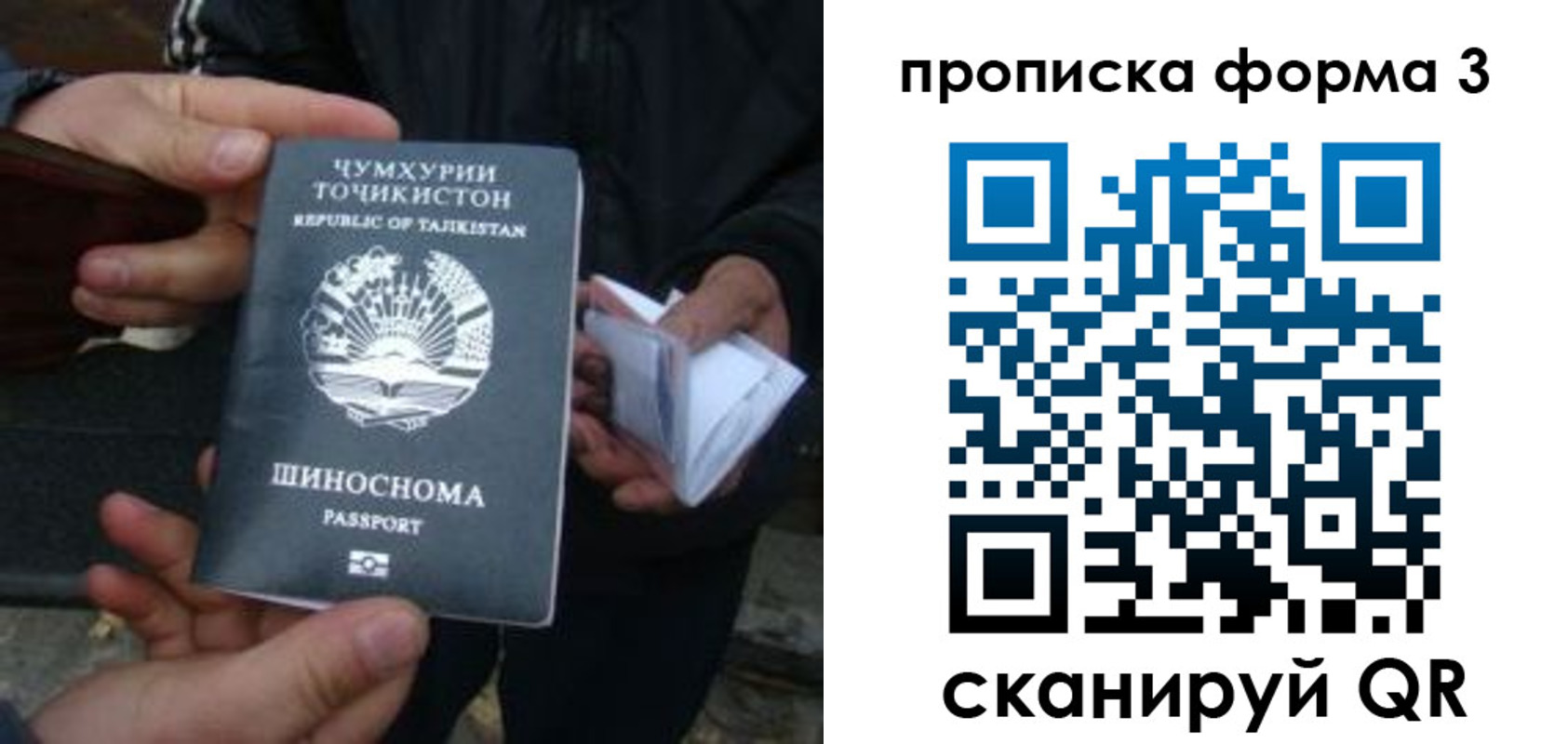 прописка 2025 в Почепе